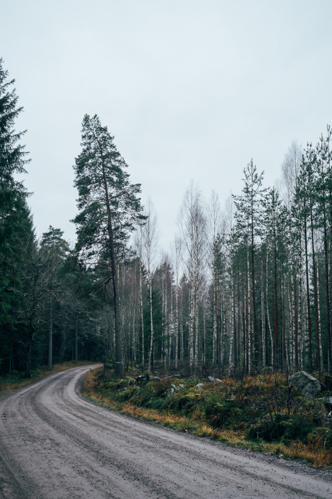 Into the woods of Eskilstuna