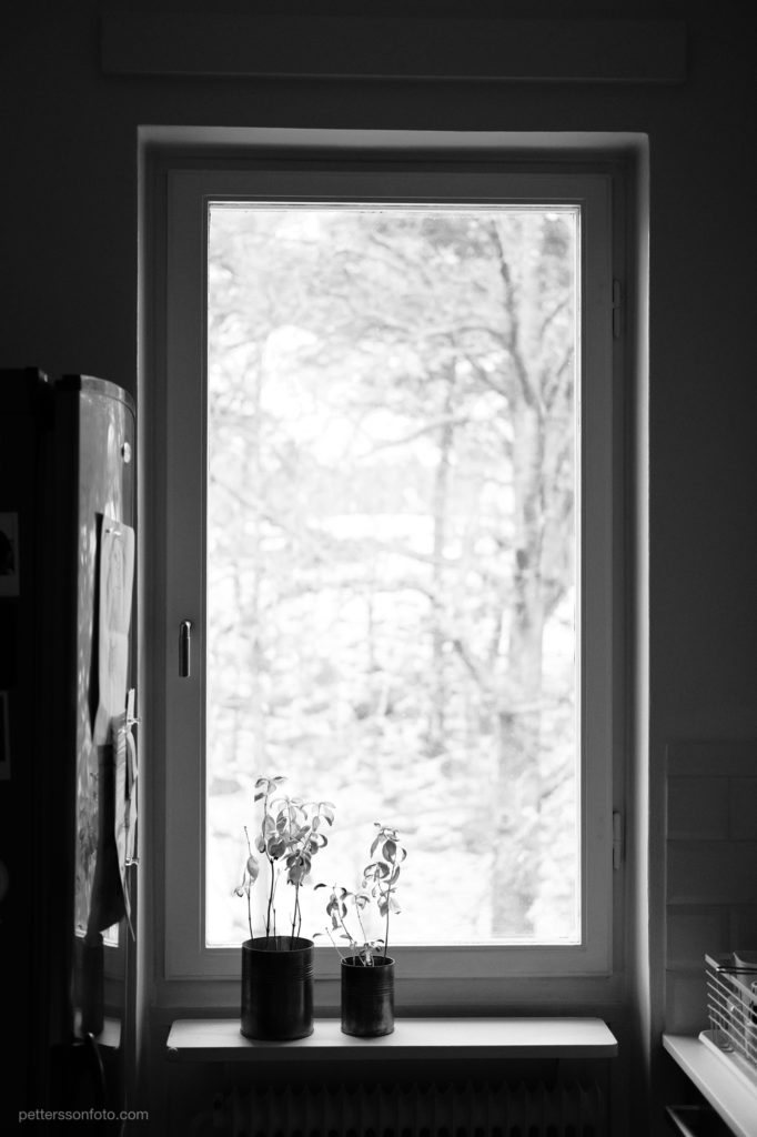 Kitchen view